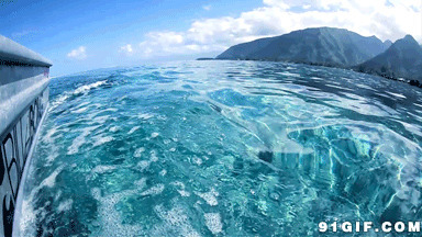 清澈的海水动态图:清澈,大海,海洋