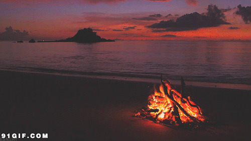 海边的火堆动态图:火堆,烧火,海滩,火焰