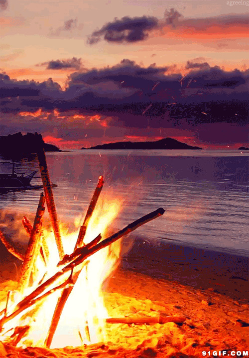 海边燃烧的火堆动态图:火堆,海滩,燃烧,火焰