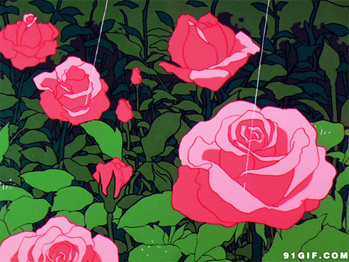 卡通大红花图片:大红花,玫瑰花,下雨