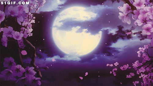 月亮唯美意境动态图:月亮,唯美,落花