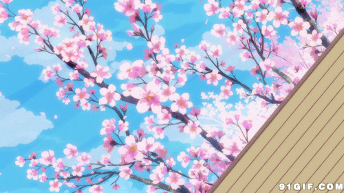 春天桃花卡通图片:桃花,落花,唯美