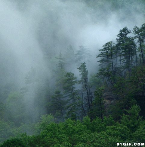 山林烟雾缭绕的图片:山林,烟雾,迷雾