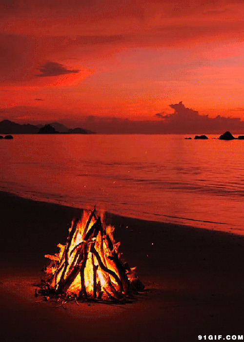 海滩火堆动态图片:火堆,烧火,海滩