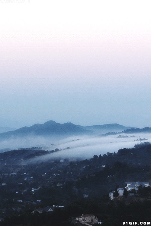 云雾山中动态图:云雾,烟雾,迷雾