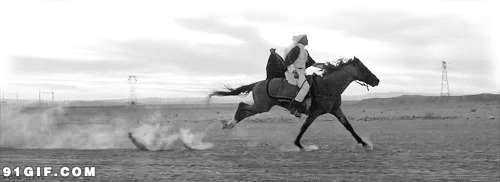 骑马草原飞奔gif图片:骑马,奔跑