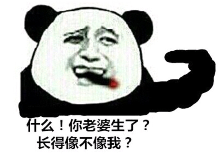 什么 你老婆生了 长的像不像我表情图片