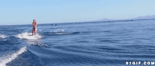 人鱼海洋畅游动态图:海豚,冲浪