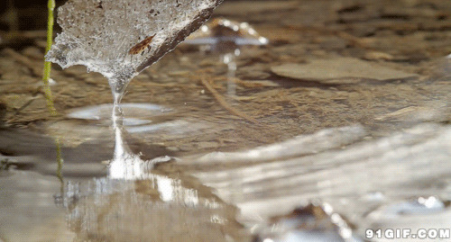 小石水滴清澈动态图片:清澈,滴水