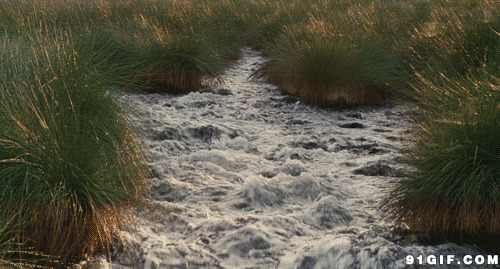 急流险滩gif图片:流水,河水