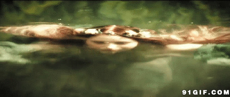 女生河中潜水动态图:潜水,游泳