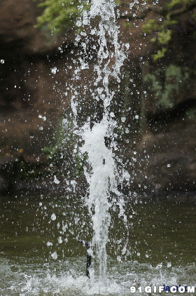 山泉喷发gif图片:山泉,泉水
