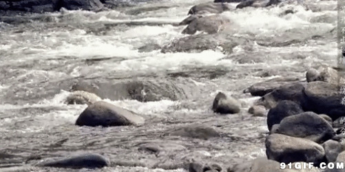 河流冲刷的石头动态图:河流,石头