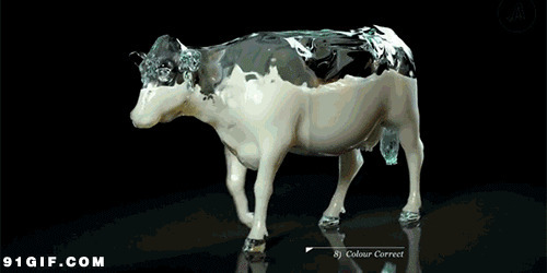 3D透明奶牛走路动态图:奶牛