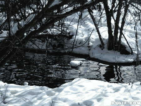 雪山湖水图片