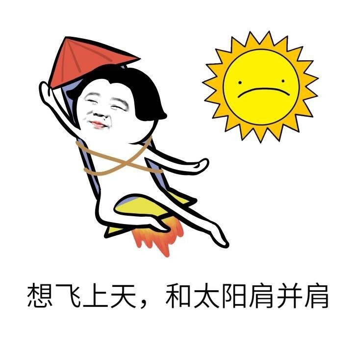 像飞上天和太阳肩并肩表情图片