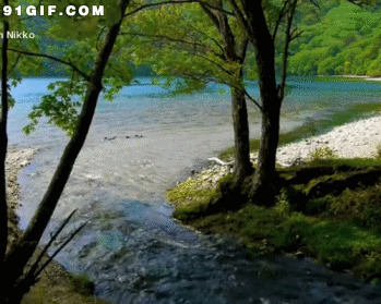 山湖浅滩流水动态图片:流水