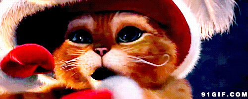 可爱圣诞小猫咪动态图片:圣诞快乐