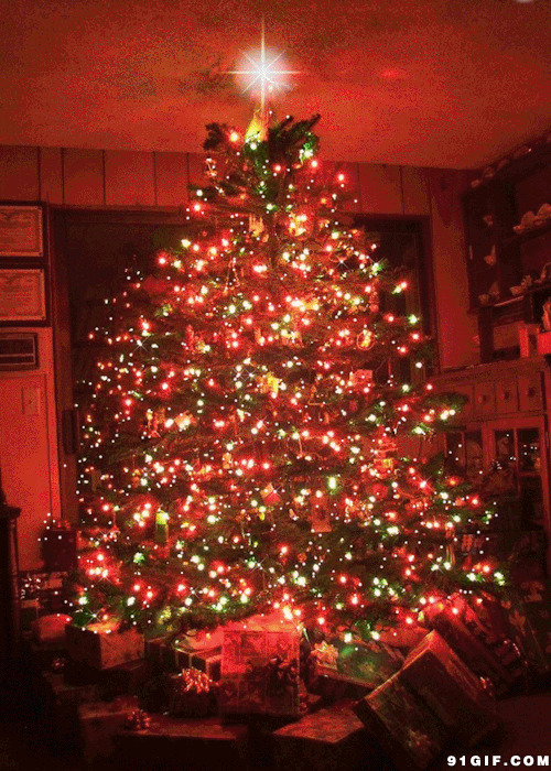 午夜闪亮圣诞树动态图片