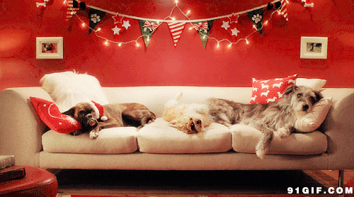 狗狗圣诞平安夜动态图片