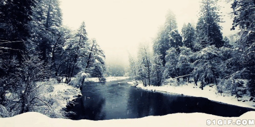 林中湖水迎落雪动态图片