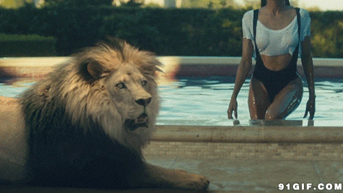 野兽与美女gif图片:狮子