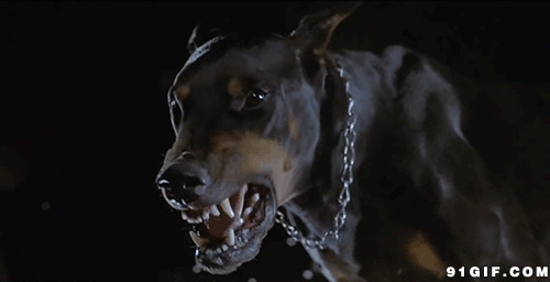 恶狗尖牙利齿动态图片:狗狗