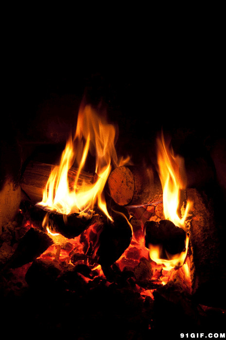 木材燃烧的火焰动态图