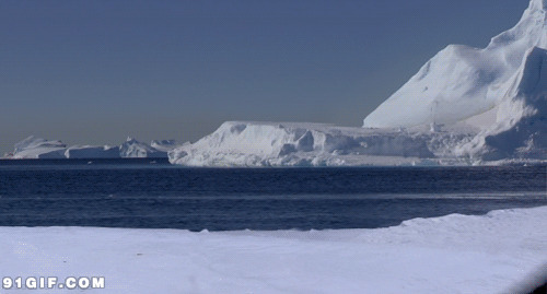 小企鹅跳跃冰河动态图