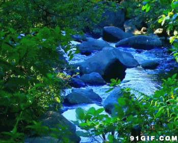 山谷泉水流淌gif图片:泉水
