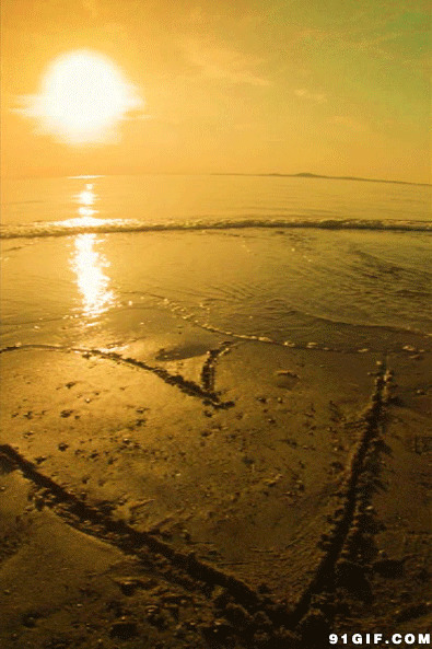 黄昏海滩美景动态图:日落