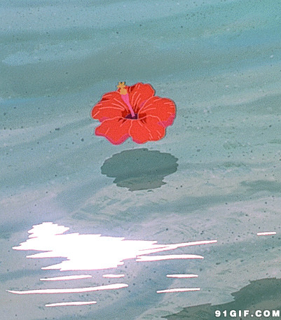 水中飘荡的花动漫图片