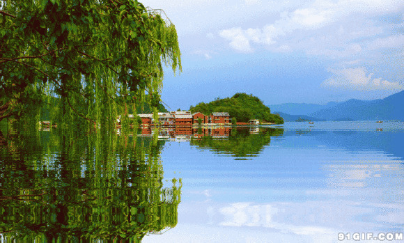 湖边垂柳倒影景色图片