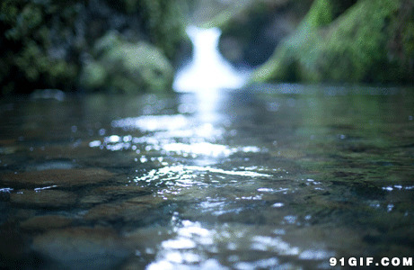 清澈泉水流淌图片:流水