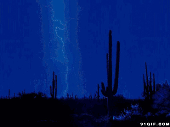 电闪雷鸣的夜空图片:闪电,夜空