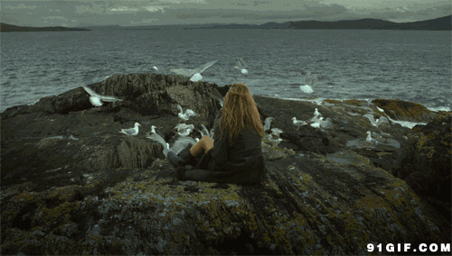 少女海岛观海鸥图片:海鸥,大海