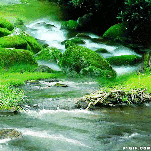 小溪川流不息水流图片:流水,小溪