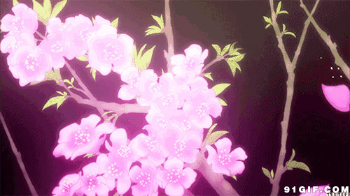 桃花散落的花瓣唯美图片:桃花,花瓣