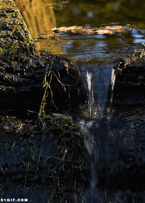 小溪水潺潺流不停图片:流水,小溪,小河