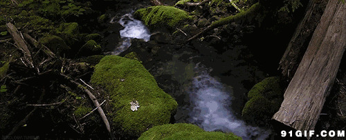 潺潺小溪水图片:风景,小溪