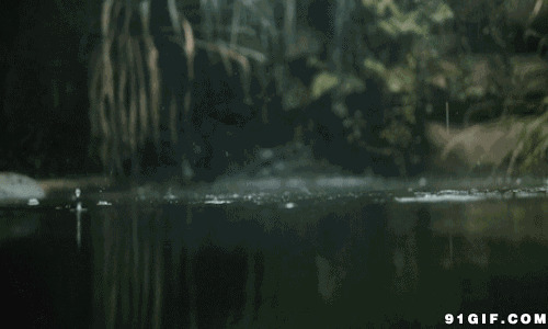 水滴滴落湖面图片:滴水,水滴