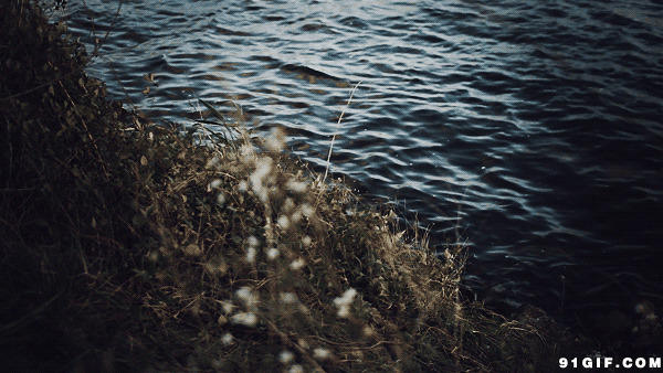 月光下波光粼粼河边图片:风景,波浪,湖边