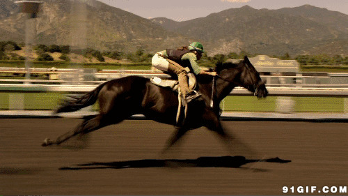 沉稳赛马手赛马图片:体育,赛马,骑马