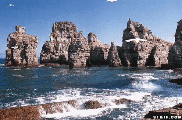 美丽大海海鸟飞行图片:海鸟,大海