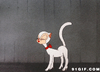 卡通小白猫动态图片