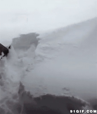 狗狗扒雪图片