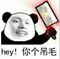 hey 你个吊毛表情图片