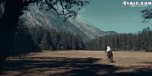 女子骑马林场飞奔图片:骑马,奔跑