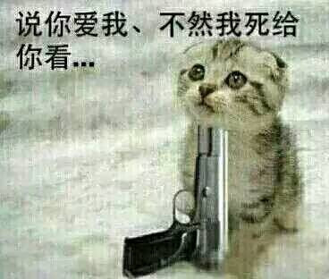 你说爱我 不然我死给你看表情图片