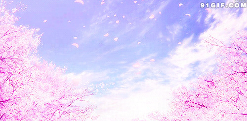 漫天飞舞的樱花动漫图片:樱花,飞舞,唯美